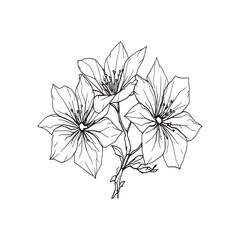 Cherry Blossom Bash Japanese Style Floral Illustration