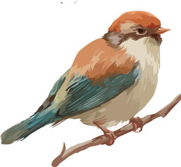 beautiful bird