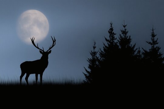 deer silhouette moon, forest night wild, mystical nature concept
