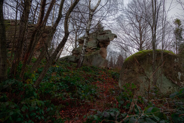 misty moody dusk atmospheric forest rocks in highland region country side land wilderness...