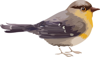 beautiful bird
