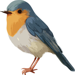 beautiful bird