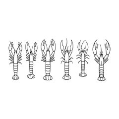 Classic lobster vector with smooth continuous lines