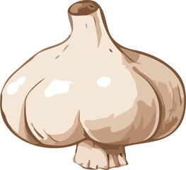 garlic vector