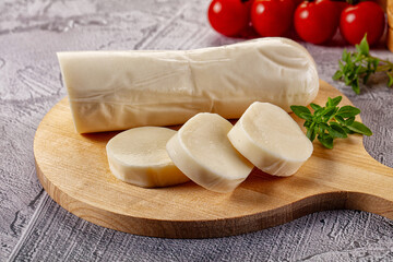 Italian dairy - mozzarella cheese with slices