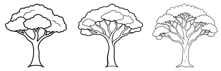 Jacaranda Tree Coloring Page - Beautiful Blossom Line Art Outline for Kids and Adults