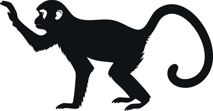 Capuchin monkey silhouette illustration