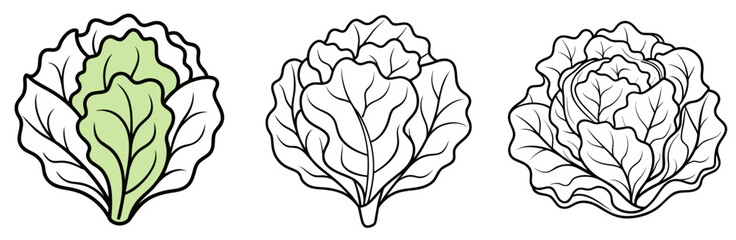 Lettuce Vegetable Coloring Page - Fresh Leafy Green Outline Line Art for Kids and Adults