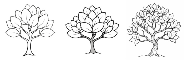 Obraz premium Magnolia Tree Coloring Page - Elegant Blossom Line Art Outline for Kids and Adults
