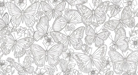 Papillons délicats dessinés fond blanc style elegant. AI Generated