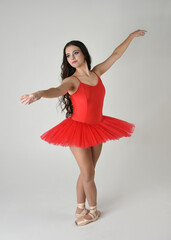 Naklejka premium female ballerina dancer model, classical dancing poses stretching with graceful arms. wearing red ballet tutu dress and pointe shoes costume on white isolated studio background.