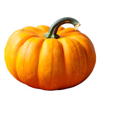 Single Vibrant Orange Pumpkin Isolated on  white   Background Autumn Harvest Gourd Vegetable Thanksgiving Decoration Halloween Symbol