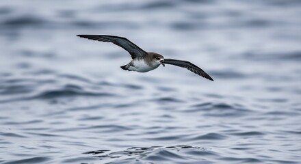 Seevogel gleitet elegant uber dunklem Wasser sanftes Licht. AI Generated