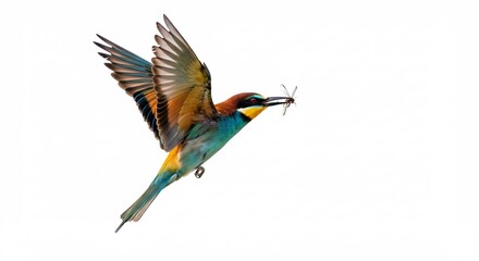 Buntfarbiger Vogel gleitet elegant im Flug Beute im Schnabel. AI Generated