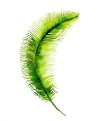 Watercolor illustration of a vibrant green palm frond