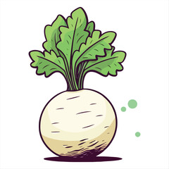 Fresh Turnip with Green Leaves