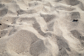 Close-Up of Wind-Shaped Patterns in Golden Beach Sand on a Sunny Day