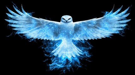 Nebula Owl T-Shirt Graphic