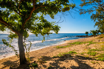 Wild beach at the “Pointe aux Piments” in the west of the tropical vacation paradise of Mauritius (Indian Ocean). Black lava rocks, fine light-colored sand, turquoise-blue clear water and vegetation