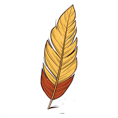 Detailed illustration of a golden and brown bird feather