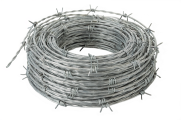 Isolated Barbed Wire Strand on White Background – High Resolution Industrial Metal Detail