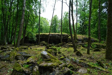 Abandoned military bunker in the forest on a sunny summer day, Wolf's Lair, Mazury, Poland