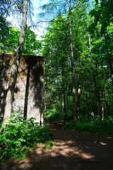 Abandoned military bunker in the forest on a sunny summer day, Wolf's Lair, Mazury, Poland