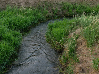 water rivulet amidst the grass