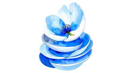 Beautiful blue spring flower blossom isolated on a white background