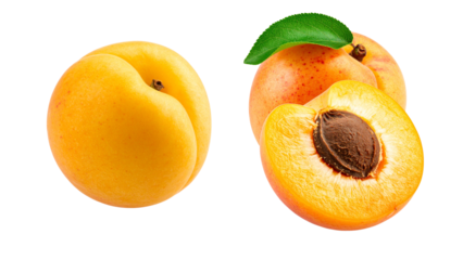 ripe apricots isolated on white background