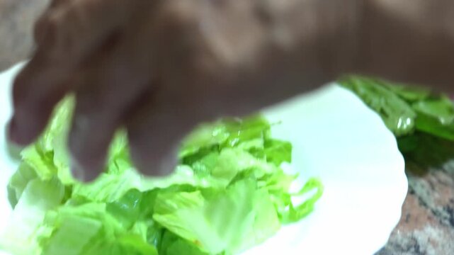 Preparing fresh lettuce salad with careful hands in kitchen