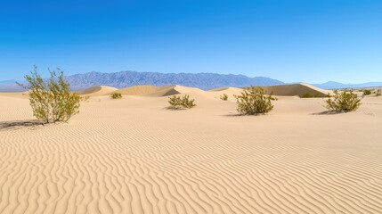 Sharp delineation between shaded valleys and sunlit peaks of sand dunes, maximizing dimensionality