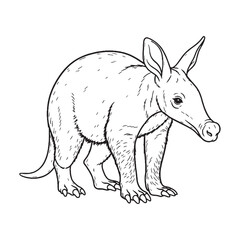Modern Clean Aardvark Vector - Contemporary Aardvark Lineart - Stylish Aardvark Icon - Elegant Vector Lineart of Aardvark Design Element.

