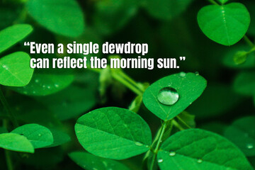 Concept for a self esteem building using dewdrop on leaf photo and an empowering message that something small doesn't mean worthless.