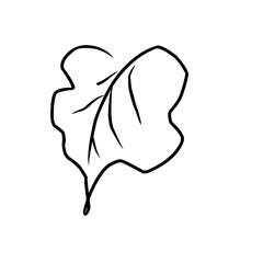 black and white paint splashes