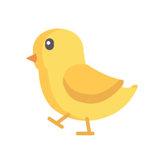 Little Chicken. Flat Icon. For Web and Apps. Stock Illustration