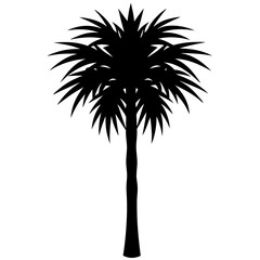 Obraz premium palm tree silhouette vector