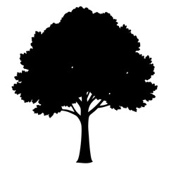 vector illustration of a tree