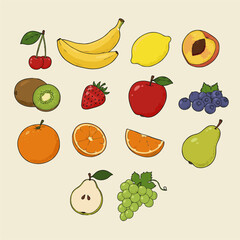 fruit vector illustration with various fresh cartoon 