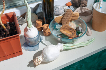 lots of different objects on the wide windowsill.