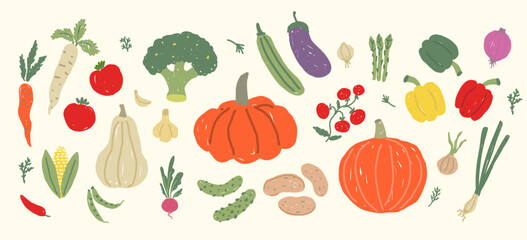 Hand drawn vegetables harvest set. Illustration of pumpkins, peppers, tomatoes, onions, broccoli, and corn. Farm and garden concept.