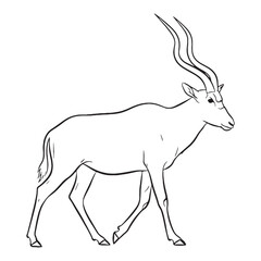 Educational Addax Vector Graphic - Informative Addax Lineart for Presentations - Helpful Addax Icon - Insightful Vector Lineart of Addax for Learning

