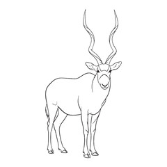 Robust Addax Vector Illustration - Strong Addax Lineart for Merchandise - Durable Addax Icon - Dependable Vector Lineart of Addax Product Design

