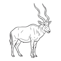 Fluid Addax Vector Silhouette - Flowing Addax Lineart for Apparel Design - Poised Addax Icon - Refined Vector Lineart of Addax Graphic

