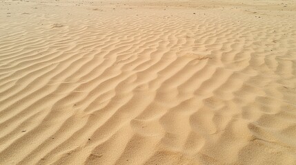 Layered sand formations enhanced by low-angle sunlight, highlighting texture while preserving simplicity