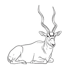 Expressive Addax Vector Drawing - Precise Addax Lineart for Print Media - Compelling Addax Icon - Detailed Vector Lineart of Addax for Artwork   © Jahangir