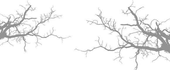 Gray shadow of leaves isolated on white background. Plant foliage leaf shadow light effect. Mockup Blurred tree branch shadow. Ideal for summer spring design elements, shadow overlay effect