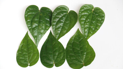 Betle leaf ( Daun Sirih ) has many properties such as antibacterial, anti-mutagenic, antioxidant, and anti-proliferative. isolated on white