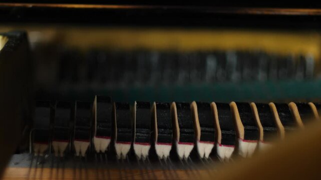 close up of the dampers in a grand piano moving up and down the strings as the instrument is played, the internal structure of a keyboard mechanical musical instrument, the hammers hitting the strings