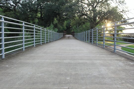 stunning bridge in the forest surrounded by trees